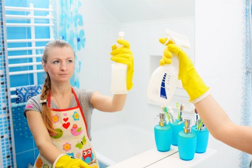 Professional oven cleaning service for a home kitchen in Outhkensington