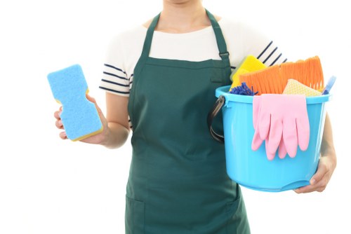 Professional window cleaning for Outhkensington homes with local access challenges