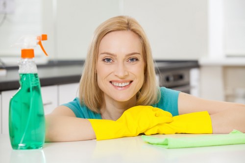 Commercial regular cleaning for an Outhkensington workspace