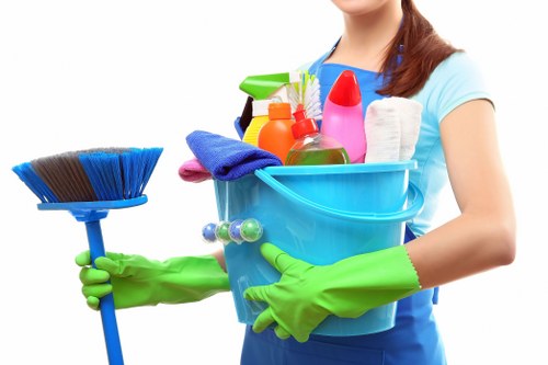 Professional pet stain odour removal treatment for a carpeted home in Outhkensington