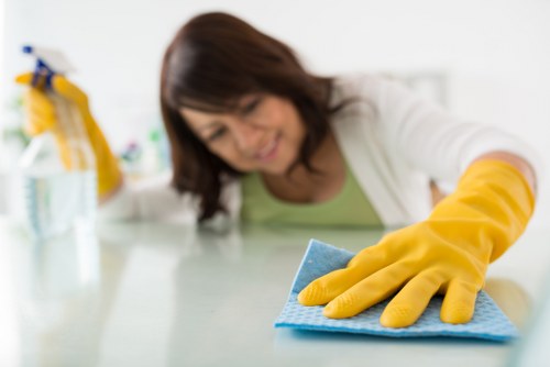Local rug cleaning process for apartments and houses