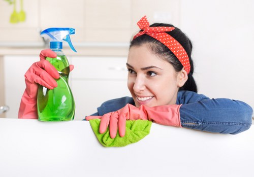 Local cleaner treating a pet odour issue in an Outhkensington flat or house