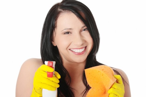Final review of a cleaning complaint